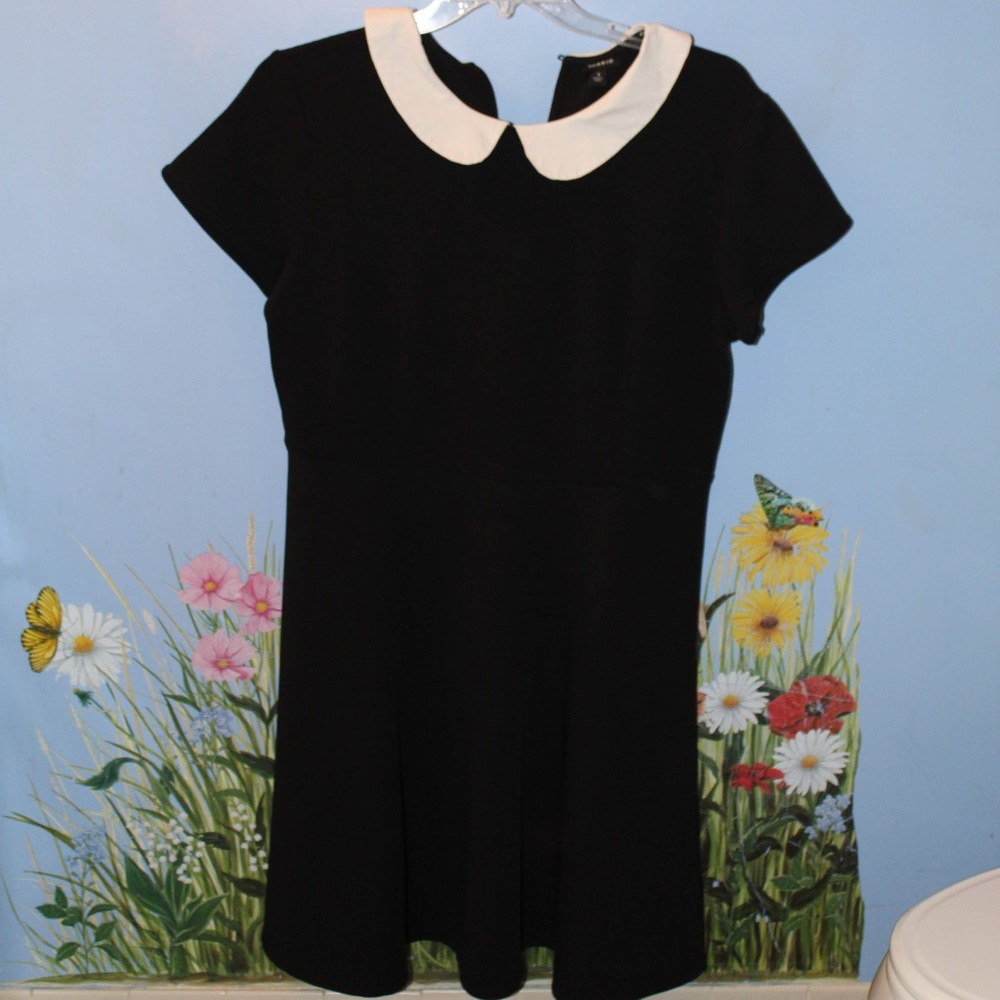 Torrid Black Dress w/h White Collar
